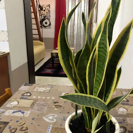 Apartman D'augusto Palermo